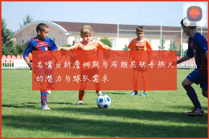名嘴分析詹姆斯与布朗尼联手热火的潜力与球队需求